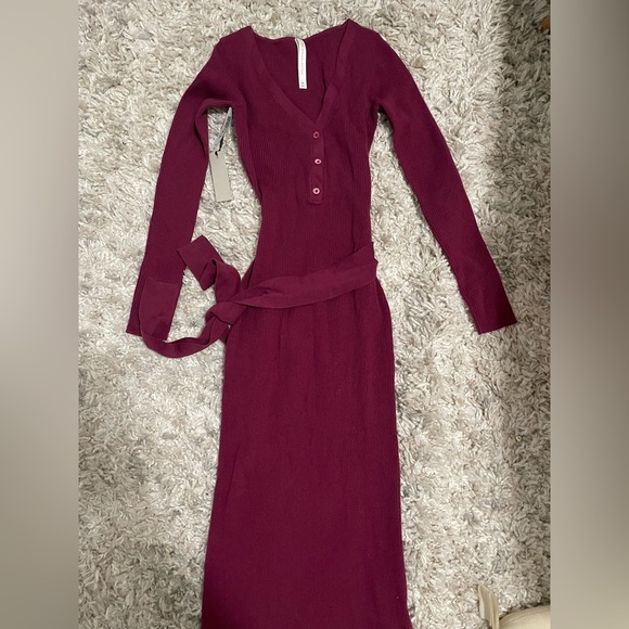 Aritzia Babaton Henley Dress - Picture 4 of 5